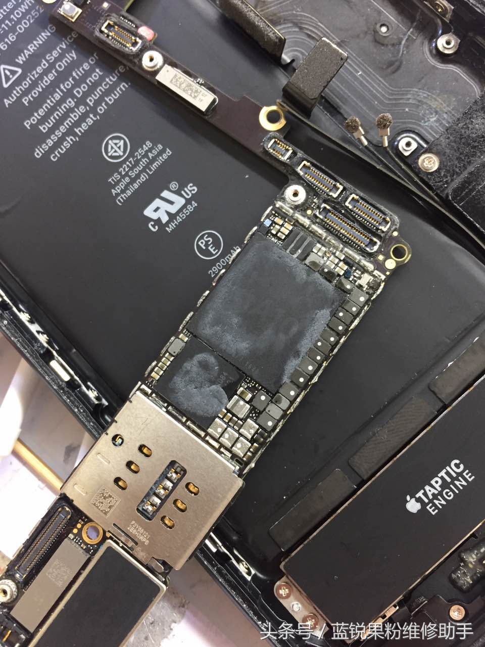 iphone7plus进水屏幕会干嘛,iphone7plus进水坏了怎么办