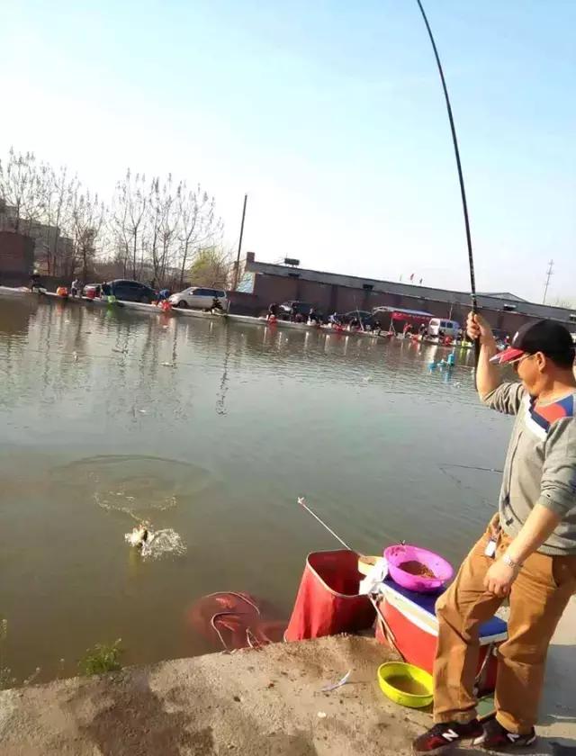 河北垂钓大赛,河北省第十六届省运会钓鱼比赛
