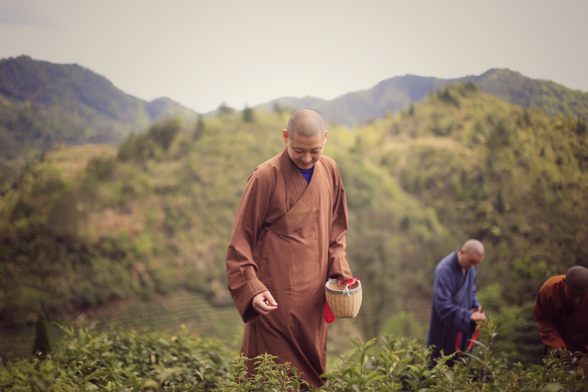 一个四月下午，一个僧人，一个茶商的故事
