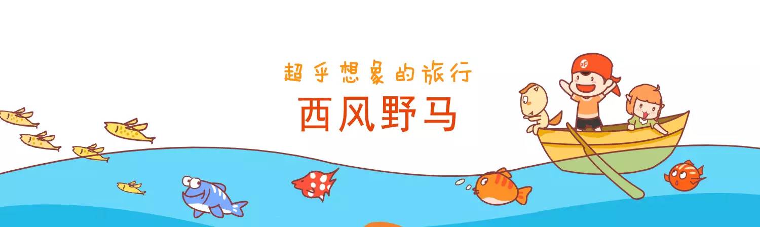 广州长隆野生动物园游玩路线攻略,广州番禺长隆野生动物园详细攻略