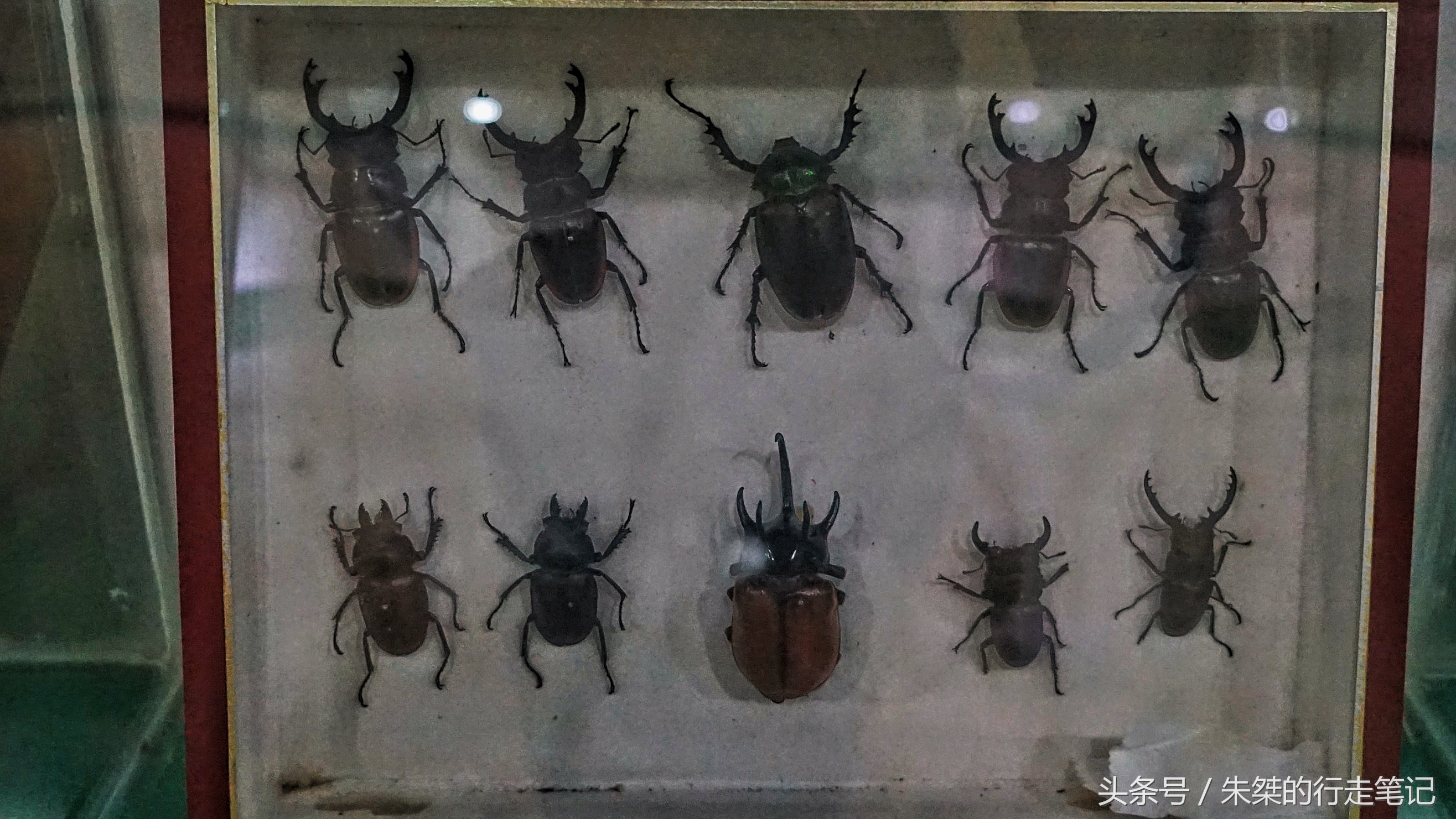 版纳颈椎治疗,西双版纳治疗颈椎好的按摩仪器