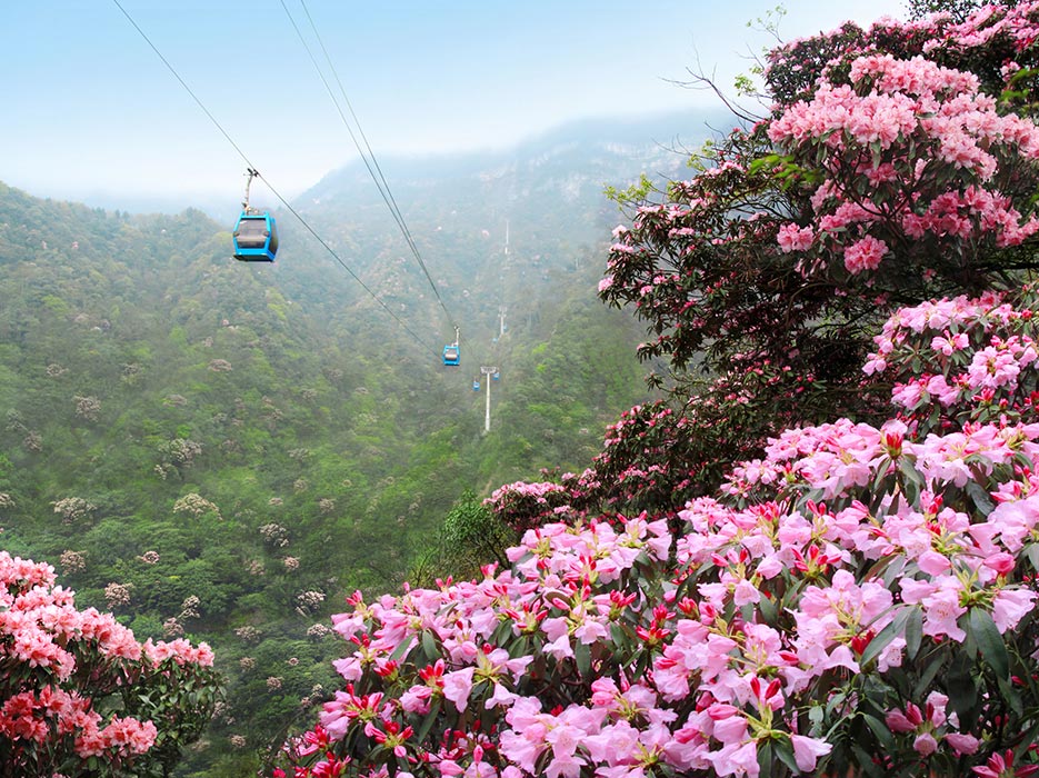 成都电影拍摄地打卡,重庆成都取景地