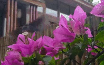 没有wifi看不起电影,没有wifi的人会怎么样