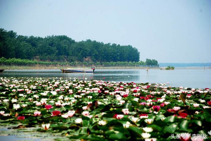 山东的一个小县城菏泽,山东单县发展现状