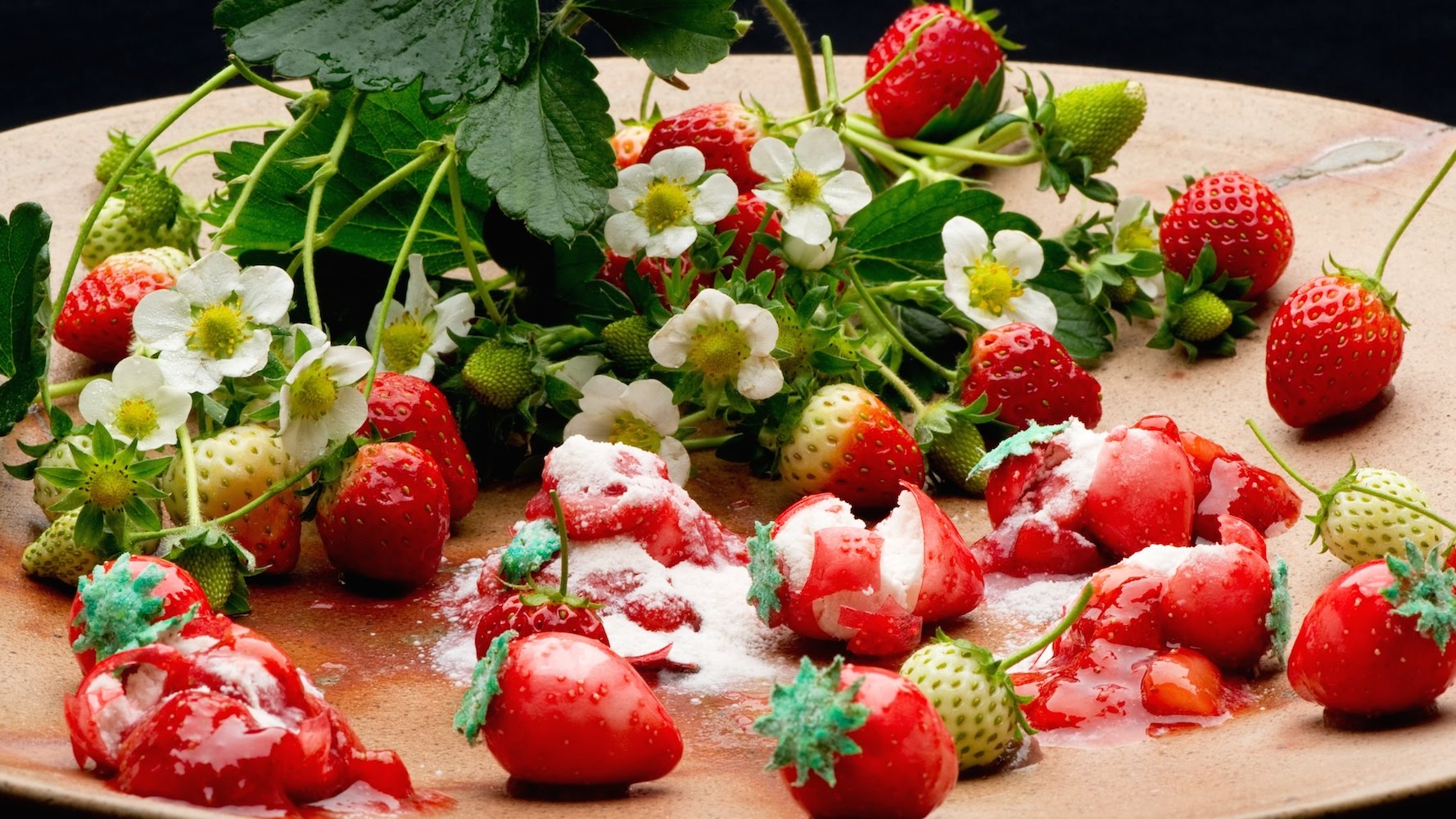 分子料理不是想象的那样高不可攀,分子料理好吃吗