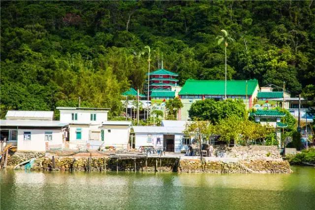 香港tvb的发展历程,香港tvb怀旧之旅