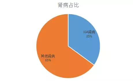 治疗iga肾病有什么好的医院,治疗iga肾病中医药医院