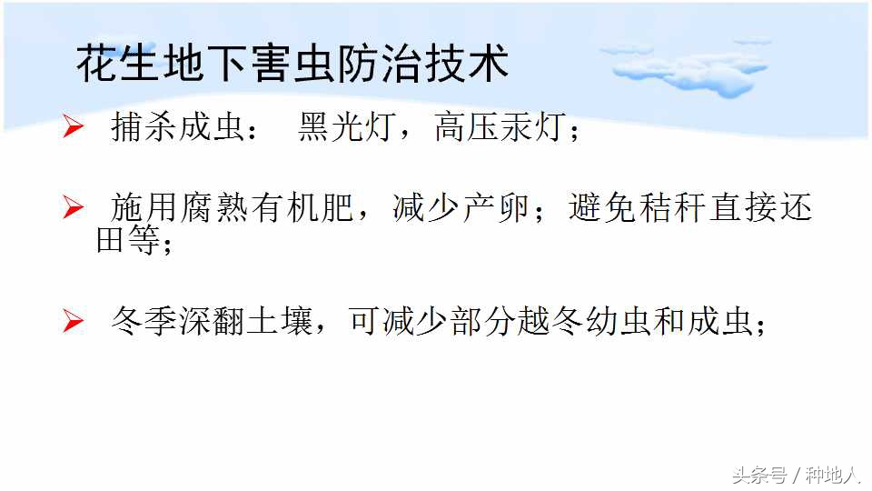 已经开始种花生了怎么种,马上要种花生了