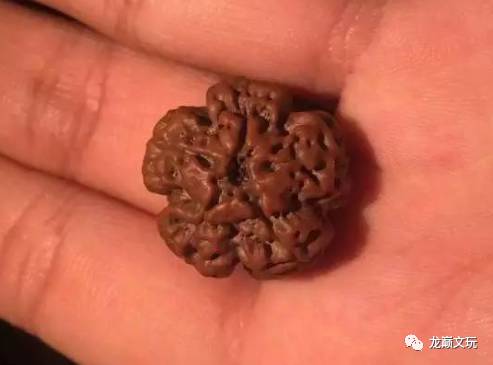 爆肉金刚咋看真假,金刚1024正品和仿品