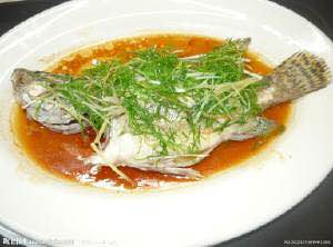 最好吃的100种鱼图片,十大最好吃的鱼视频