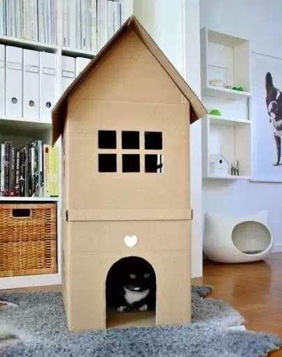 废纸箱做户外儿童玩具,废纸箱做可爱的宝宝