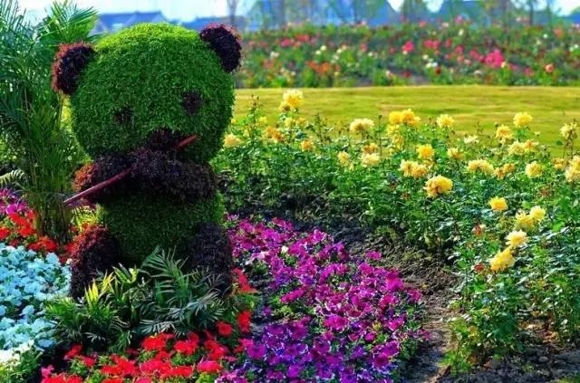 魔法宝贝门票,魔法宝贝团购