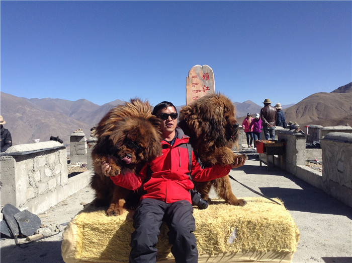 川藏线拼车去西藏,川藏线拼车10天吃住多少钱