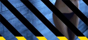 在“美眉/斑竹”横着走的年代，诞生了一部《网聊妹子圣经》