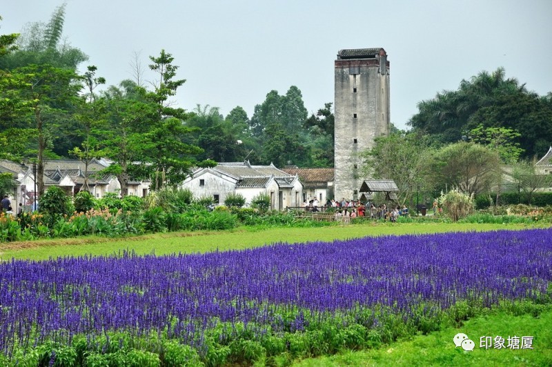 塘厦隐藏的美景,广东塘厦隐藏好玩地方