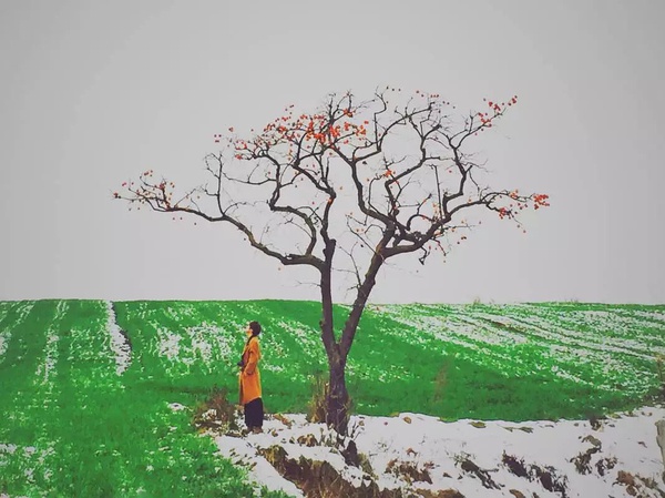 春季手机摄影大赛,摄影有哪些大赛