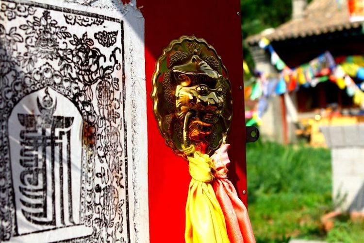 没有“十里桃花”？不要紧！乌素图“十里杏花”等着你！