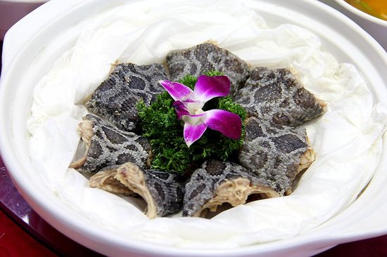 老奶奶都不扶就扶你什么梗,老奶奶不扶就服你下一句