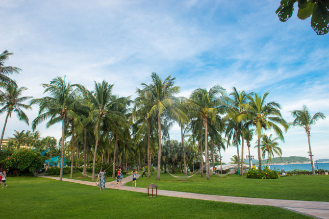 蓝天白云,椰风海韵,去三亚散散心吧