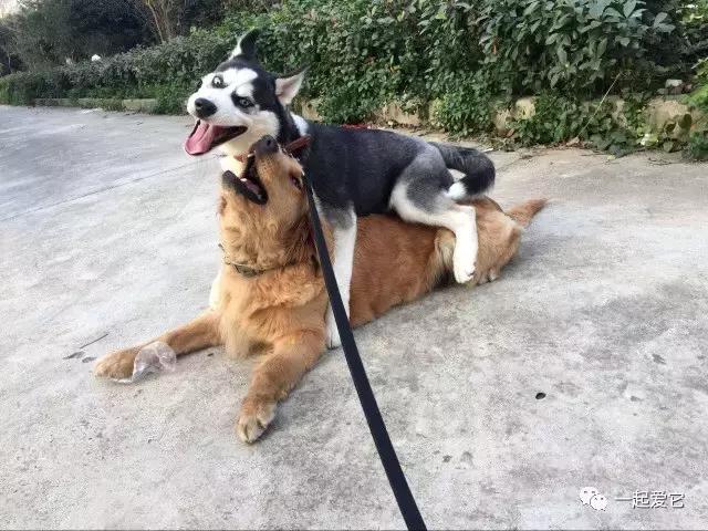 宠爱每一个故事,宠爱故事梗概