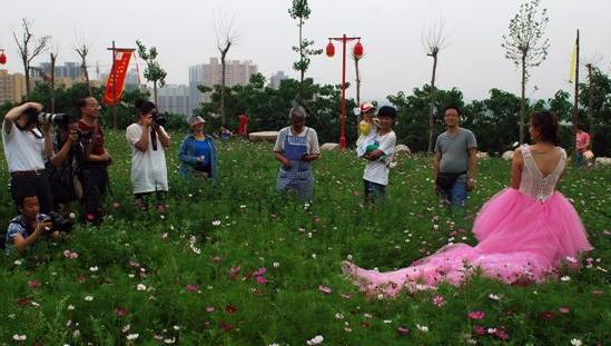 兴平“花田公社”预投资百亿打造国内第一景，被称为“花钱公社”