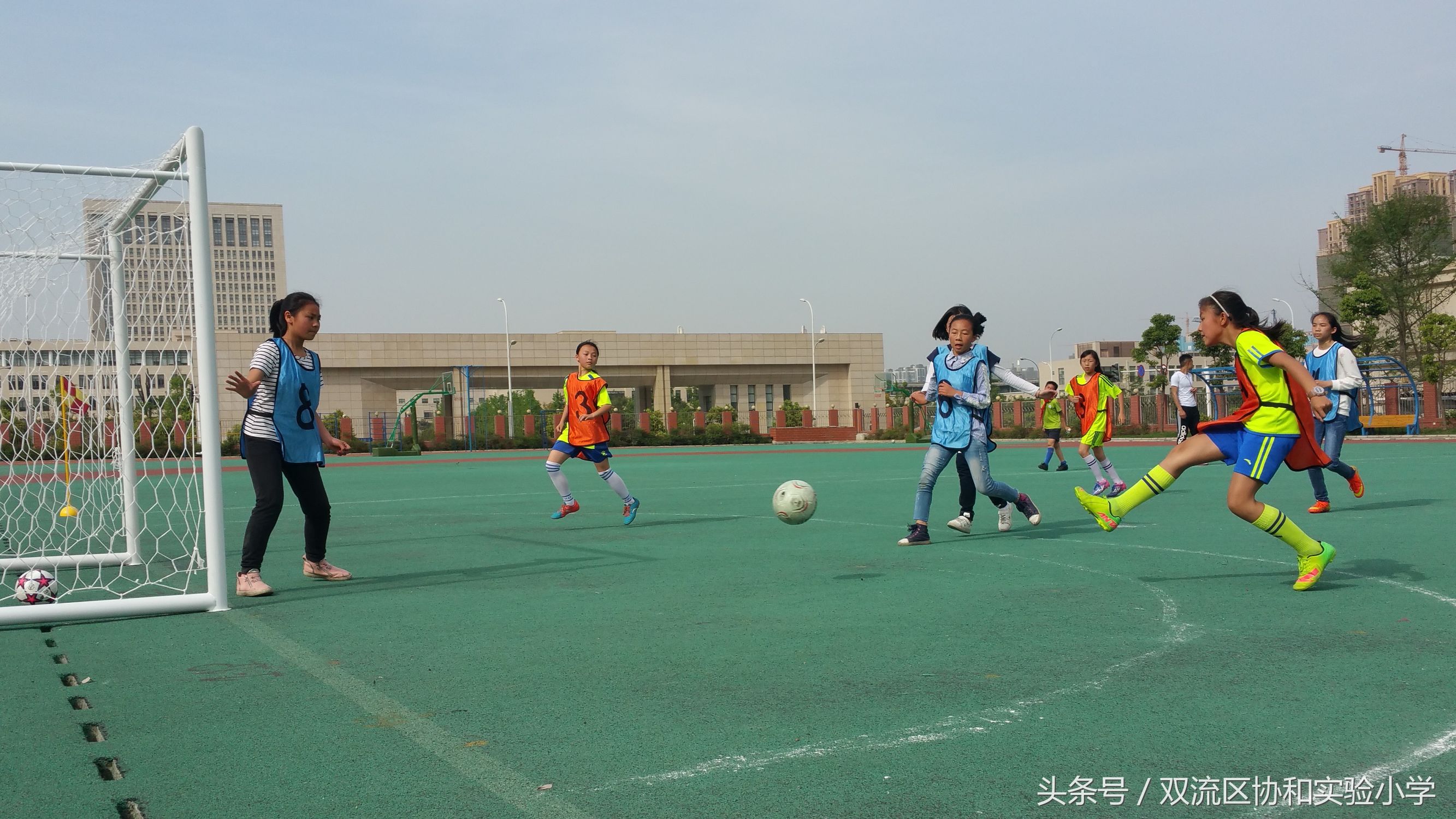 成都市双流区校园足球联赛2021,双流区实验小学足球联赛开球