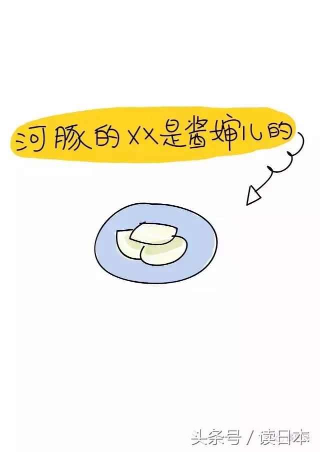 盘点日本人最喜欢吃的食物,日本人的奇葩食物