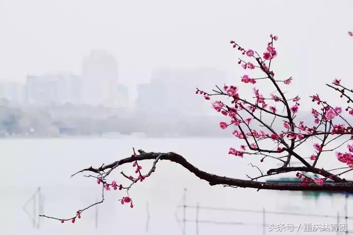 人间最美的不过是春天,人间最美是初春