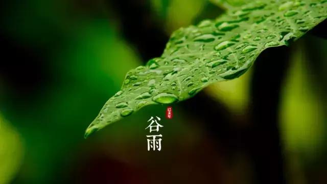 二十四节气之谷雨春落幕夏将至,二十四节气谷雨暮春