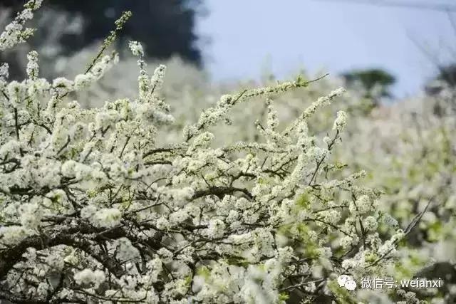 安溪最好看的风景,安溪哪个风景好