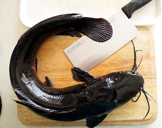 大蒜烧鲶鱼一般要烧多少分钟,大蒜烧鲶鱼要去黏液嘛