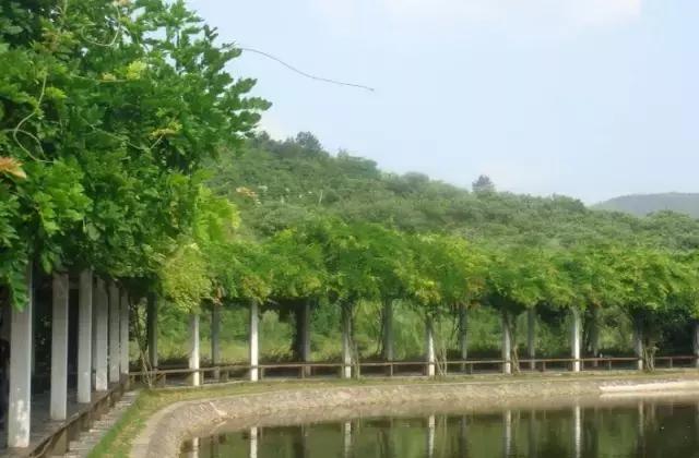 魔法宝贝门票,魔法宝贝团购