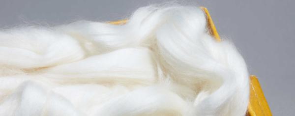 夏季要用基本款称王？你不能不知道的四个小众性价比高的品牌！