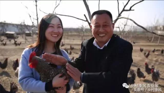 汶上芦花鸡散养基地,芦花鸡是什么鸡