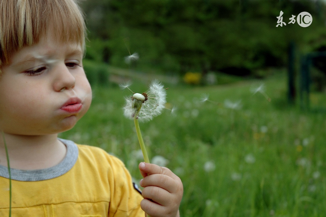 心理咨询理论,心理咨询的基本原则
