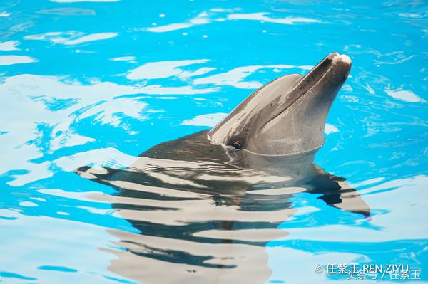 长隆海洋王国亲子游路线,一天游珠海长隆海洋王国亲子攻略