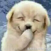 初中生怎么学习英语,初中生如何学英语演讲稿350个字