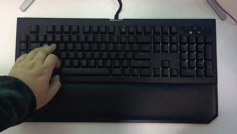 黑寡妇蜘蛛2019和幻彩版,黑寡妇蜘蛛幻彩版测评