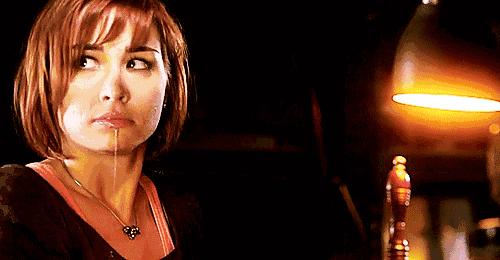 荷兰猪适宜的温度,荷兰猪夏天降温视频教学