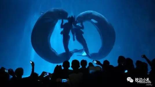 冬天大连看海旅游攻略,冬季到大连去看海