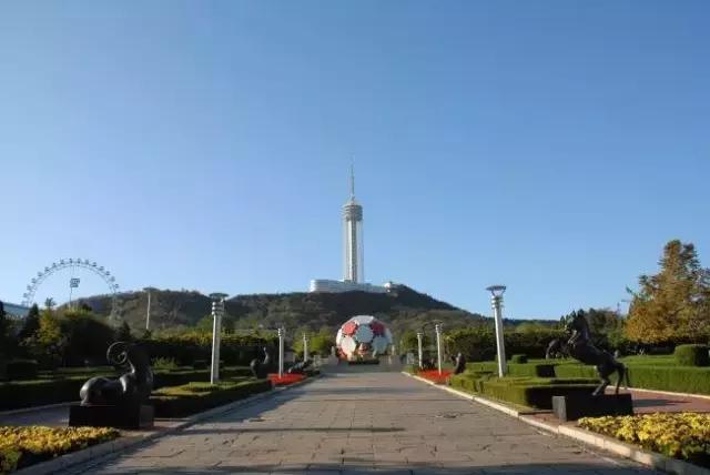 劳动公园大足球内部样子,劳动公园大足球叫什么