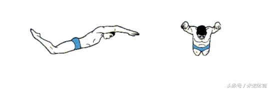 海豚跳跃式泳姿教学,海豚式泳姿陆上练习