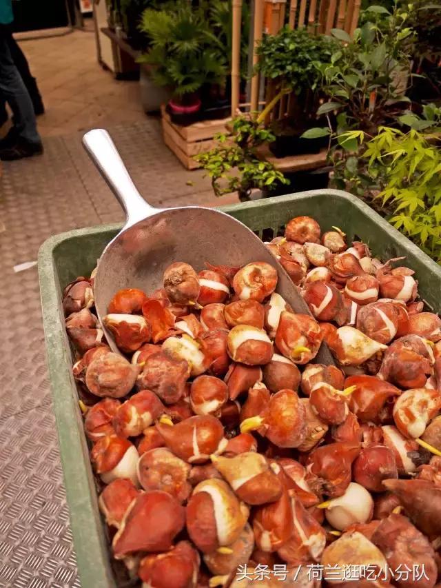 旅行必看｜它是全球唯一的水上鲜花市场，买花逛吃两不误！