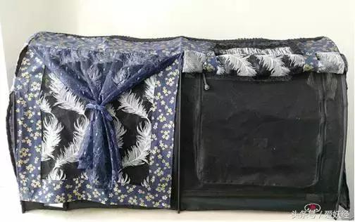 爱妖经｜赛场猫咪同款用品，主子们都拒绝不了的诱惑