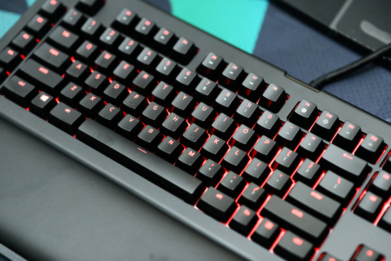 黑寡妇蜘蛛2019和幻彩版,黑寡妇蜘蛛幻彩版测评