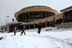 劳动公园大足球内部样子,劳动公园大足球叫什么