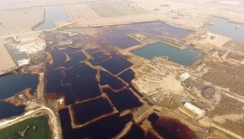 光明新区对环保查处厉害吗,光明县环保督察