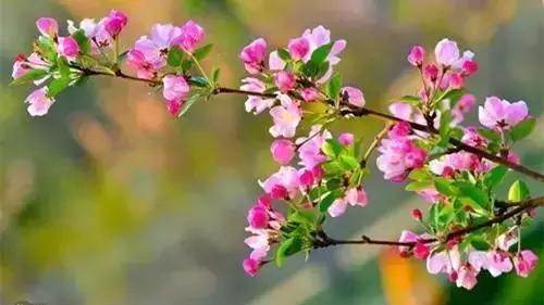 新人教版七年级下册（U1-U6）重点单词、短语、句型大汇总