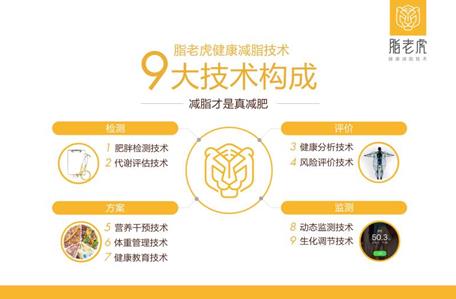 健康减脂科学减脂不反弹,脂老虎健康减脂技术