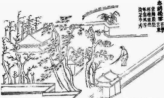 容城家乡风景图,雄安新区容城风景视频